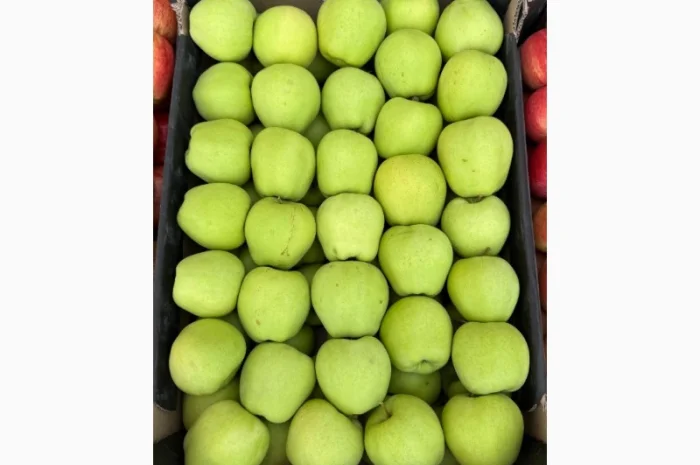 Продам яблука- фото № 3