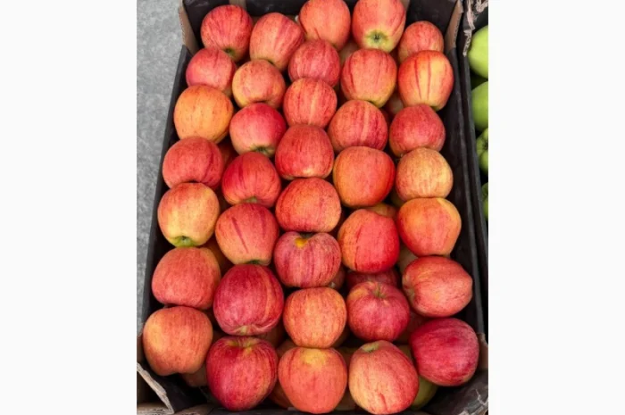 Продам яблука- фото № 6