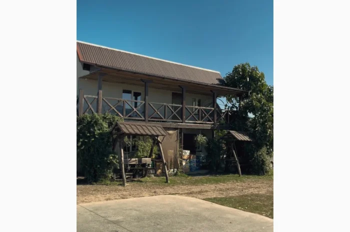 Продам яблуневий сад- фото № 4