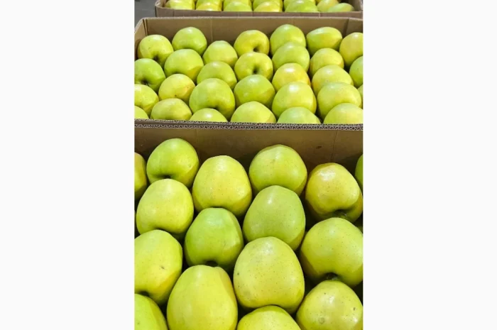 Продам яблука- фото № 2