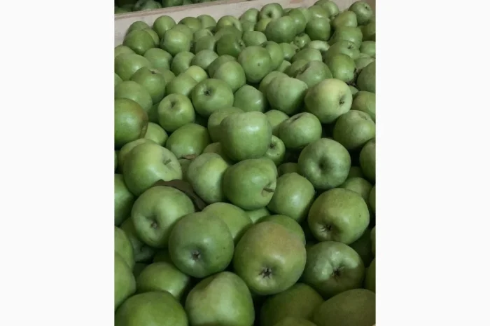 Продам яблука- фото № 3