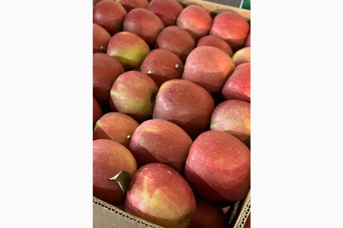 Продам яблука- фото № 6