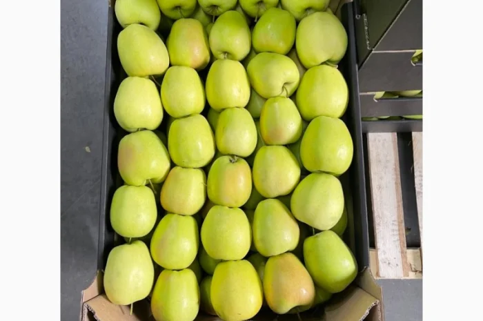 Продам яблоки несколько сортов с хранилищя. От производителя с 20 тонн- фото № 2