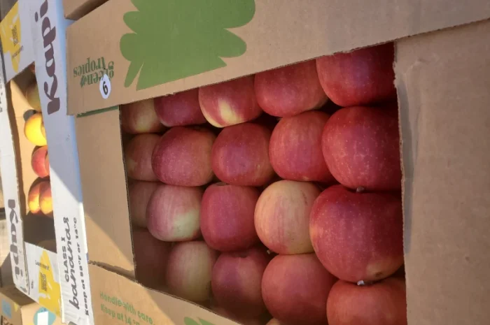 Продам яблоки из холодильника газоване- фото № 1