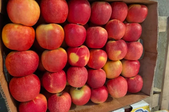 Продам яблука- фото № 1