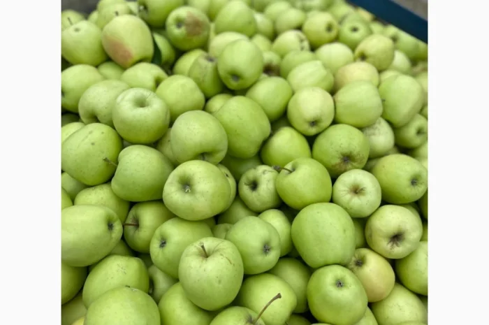 Продам яблука- фото № 2