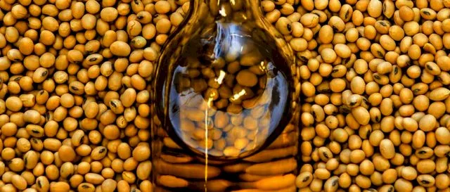 Куплю соєву олію- фото № 1