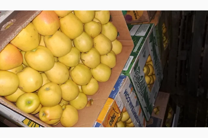 Продажа яблок разных сортов- фото № 8