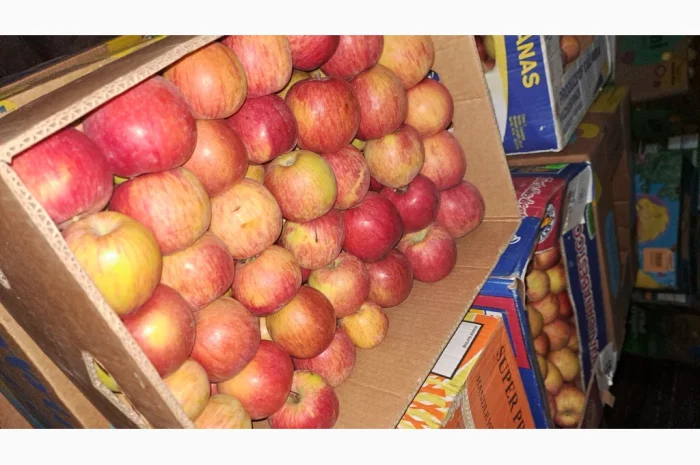 Продажа яблок разных сортов- фото № 9