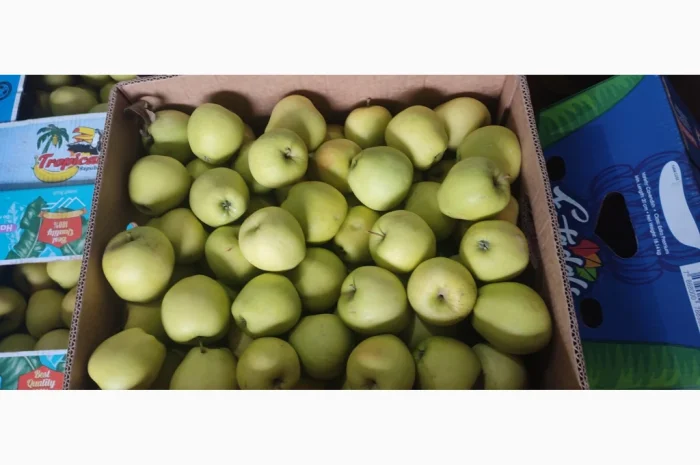 Продам Голден- фото № 3