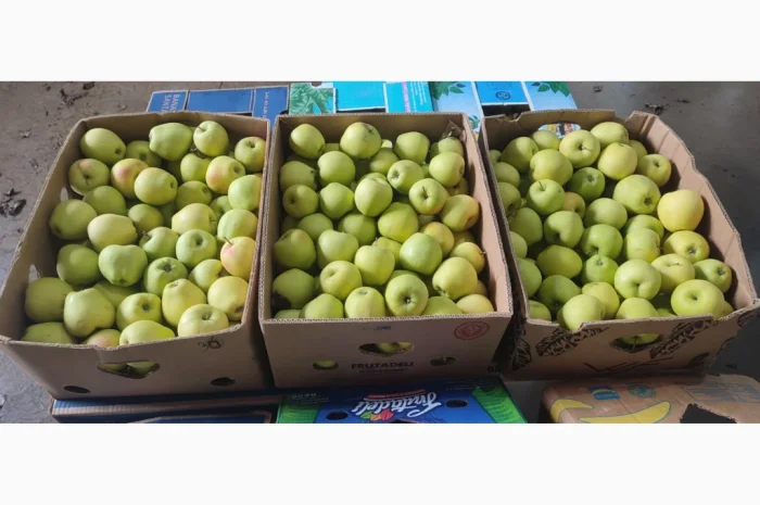 Продам Голден- фото № 4