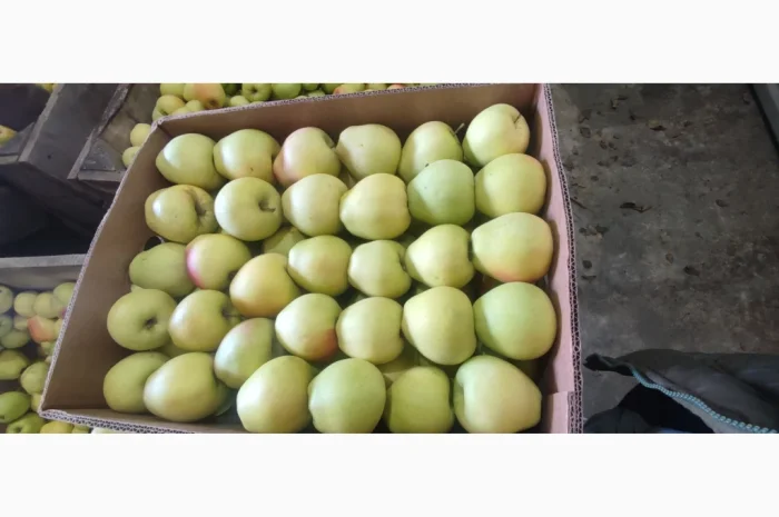 Продам Голден- фото № 1