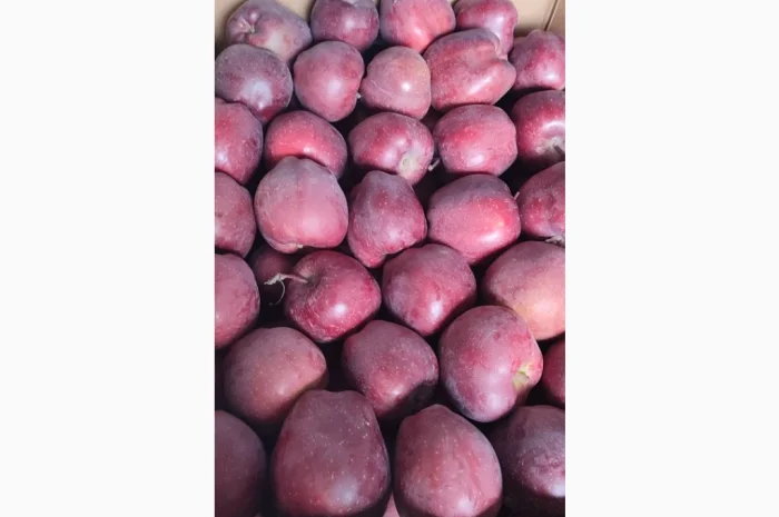 Продам Голден- фото № 3