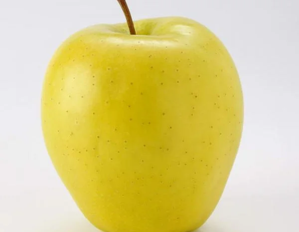 Продаються яблука оптом від виробника. Великий вибір сортів- фото № 2