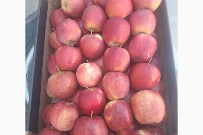 Продаются яблоки из Польши- фото № 1