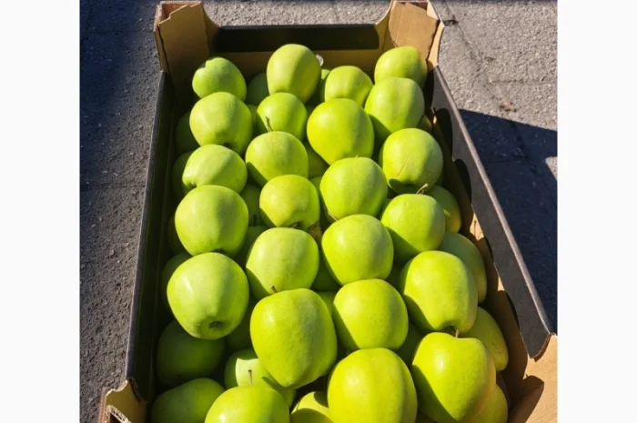Продаются яблоки из Польши- фото № 2