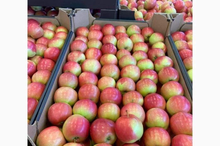 Продаются яблоки из Польши- фото № 3