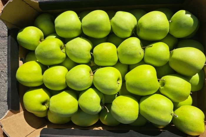 Продаются яблоки из Польши- фото № 4