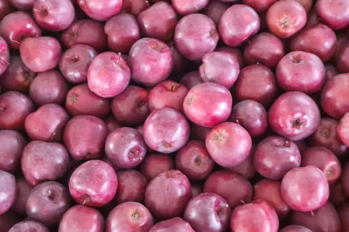 Продаются яблоки сорта Гала- фото № 5