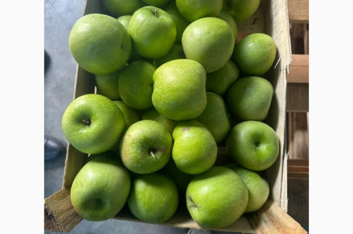 Яблука оптом - більше 15 сортів- фото № 3