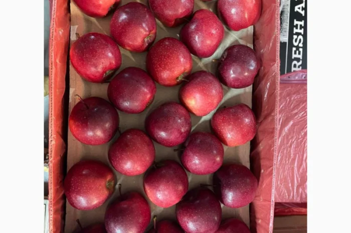 Яблука оптом - більше 15 сортів- фото № 4