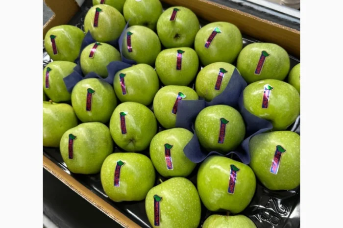 Яблука оптом - більше 15 сортів- фото № 5