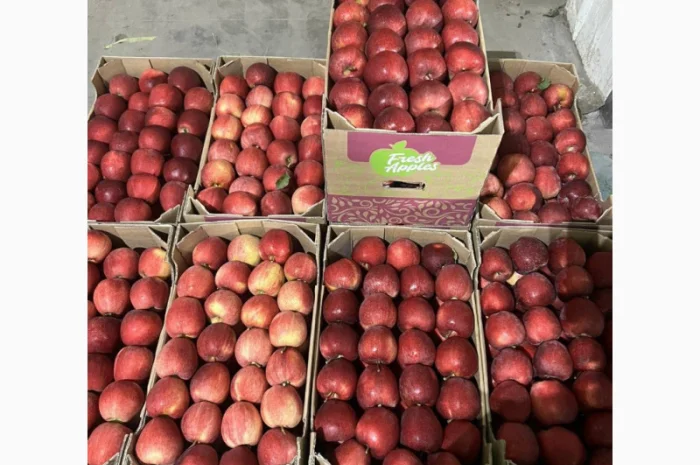 Яблука оптом - більше 15 сортів- фото № 6