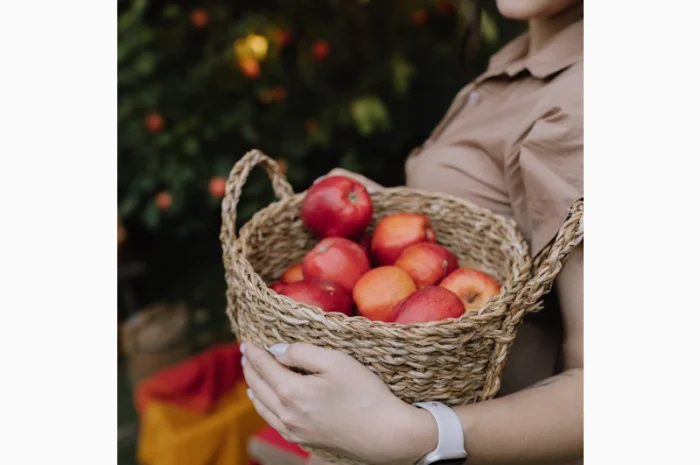 Куплю яблоки оптом- фото № 1