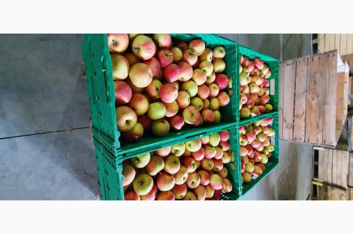 Породам яблука фрешовані з холодильника- фото № 2