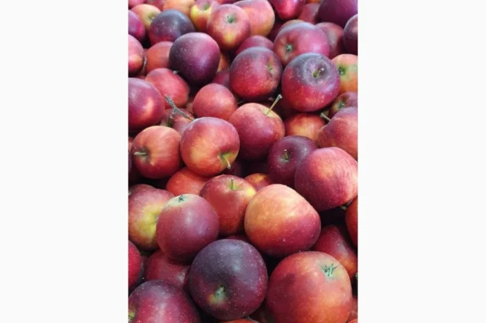 Породам яблука фрешовані з холодильника- фото № 3