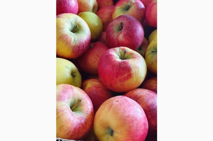 Породам яблука фрешовані з холодильника- фото № 1