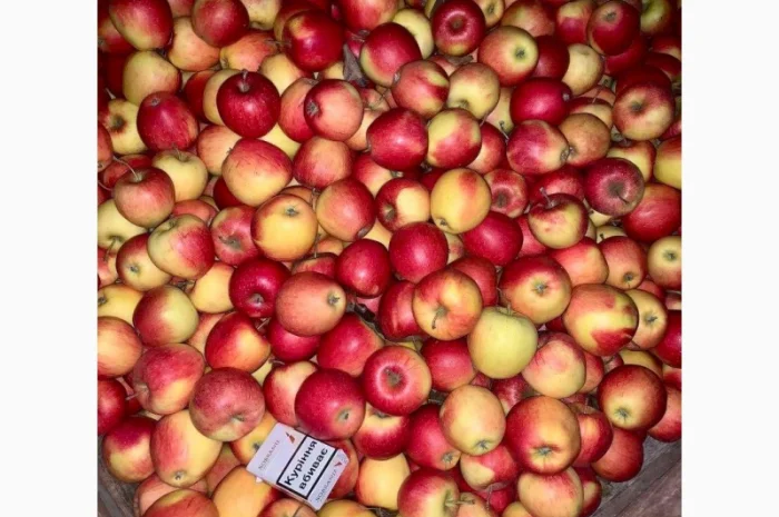 Продам оптом яблука з холодильника фрешовані- фото № 3