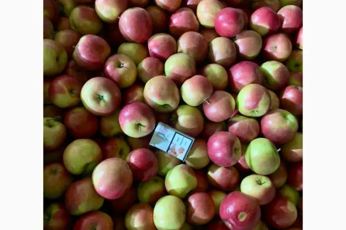 Продажа яблок оптом из холодильника Smart Fresh- фото № 7