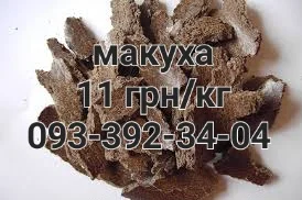 Олія соняшникова- фото № 3