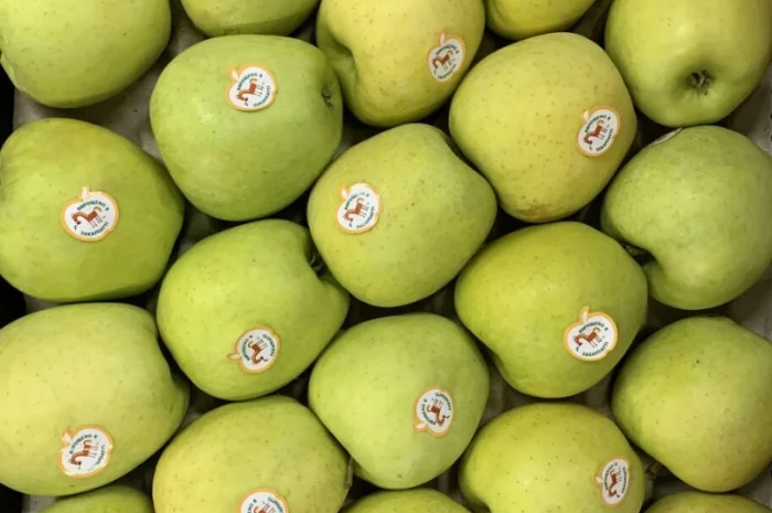 Куплю яблука сорту Golden Delicious- фото № 1