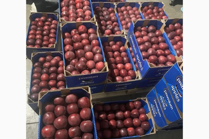 Продаються яблука сортів Джеромін, Голден, Фуджі- фото № 3