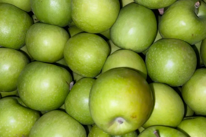 Продаються яблука оптом- фото № 1