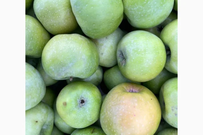 Продаються яблука оптом- фото № 10