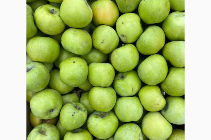 Продаються яблука оптом- фото № 14