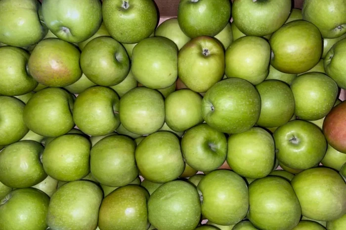 Продаються яблука оптом- фото № 4