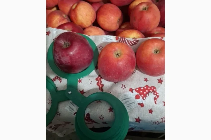 Пропонуються яблука сорту Флоріна- фото № 1