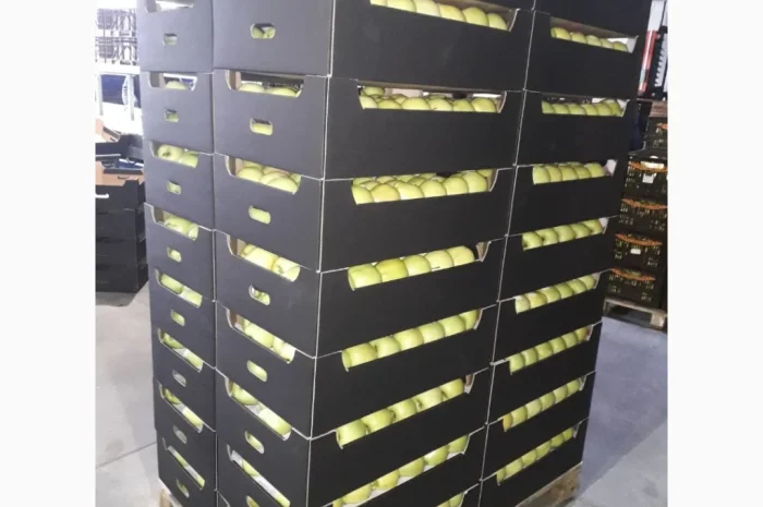 Продается высококачественное яблоко из холодильника- фото № 8