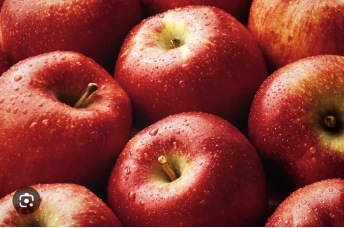 Куплю яблука на переробку- фото № 2