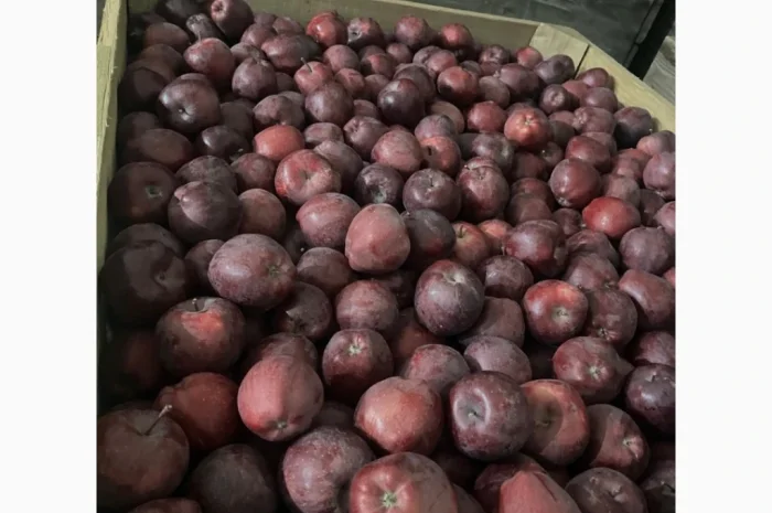 Продаются яблоки: Голден, Фуджі, Джеромін, Гала, отличного качества в Виннице- фото № 8