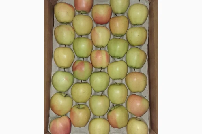 Продам яблуко сорту Голден (Golden Parsi da Rosa)- фото № 1