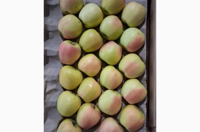 Продам яблуко сорту Голден (Golden Parsi da Rosa)- фото № 3