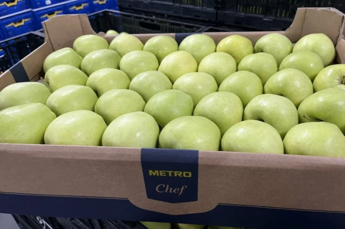 Продам яблука 2025- фото № 5