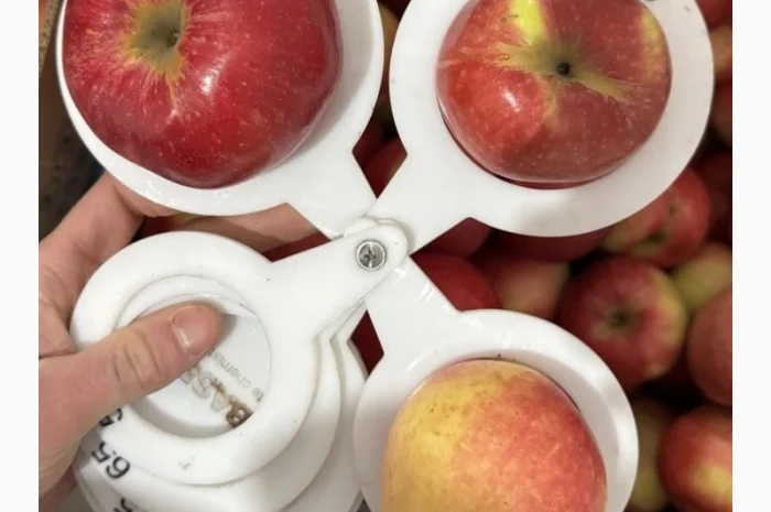 Яблука сорту Амулет на продажу- фото № 1