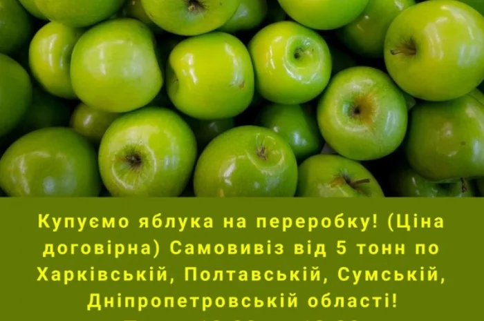 Купуємо яблука на переробку- фото № 1