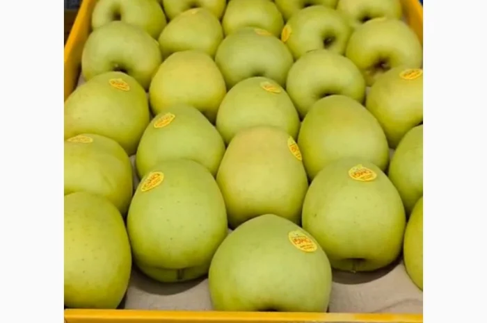 Продаются яблоки различных сортов- фото № 1